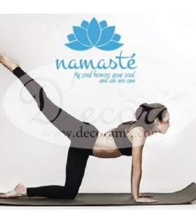 Vinilo Namasté 300