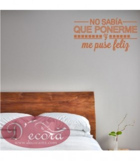 Texto No Sabía Que Ponerme